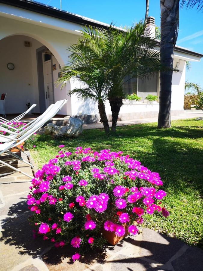Villa Manzella Piscina Privata Cinisi Eksteriør billede