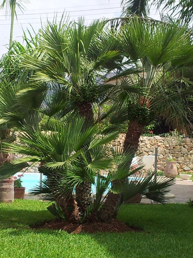 Villa Manzella Piscina Privata Cinisi Eksteriør billede